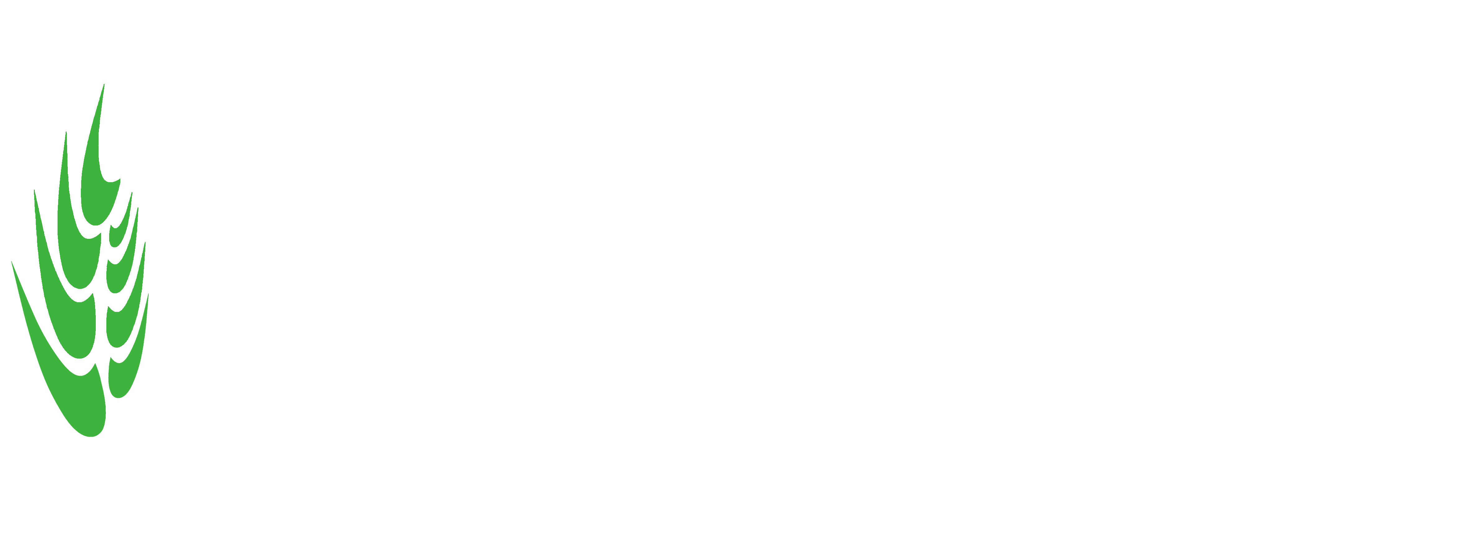 https://www.profedejardineria.com/wp-content/uploads/2021/11/jardicamp_03_blanc-i-verd-1.png